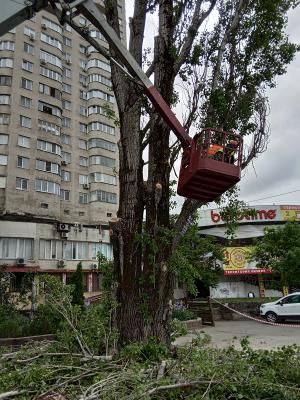 Прикрепленное изображение: Москольцо.22.05.23.рубка.3.jpg
